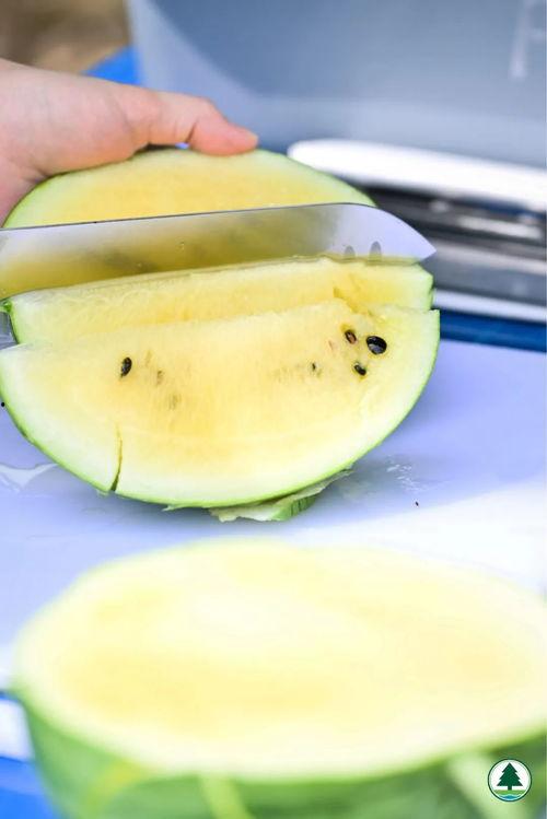 吃瓜网表现,揭秘娱乐圈幕后真相，带你领略网络舆论的力量